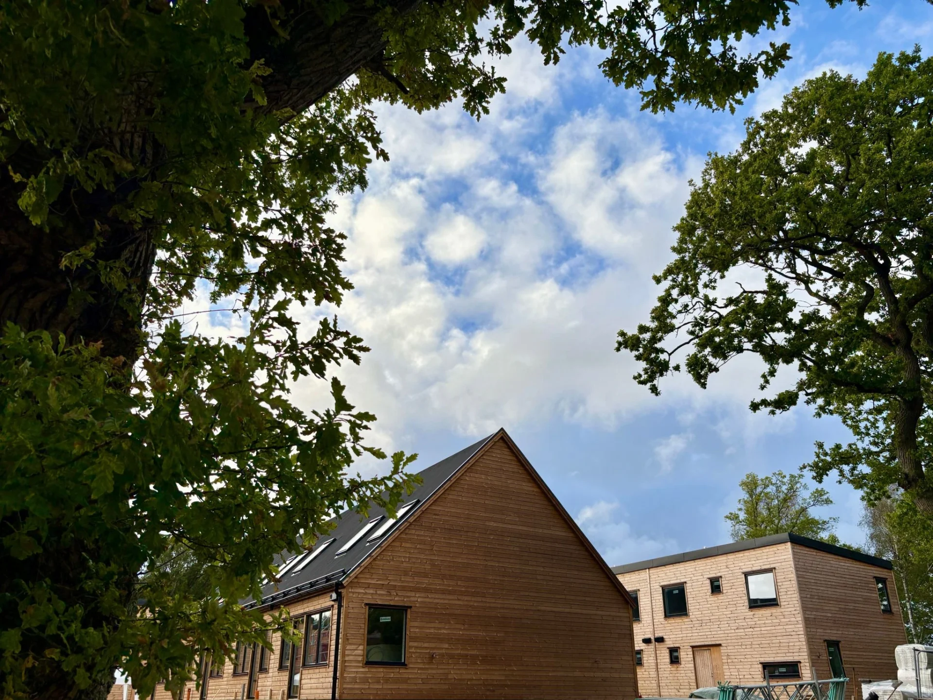 wood hill ekekullen visning 2